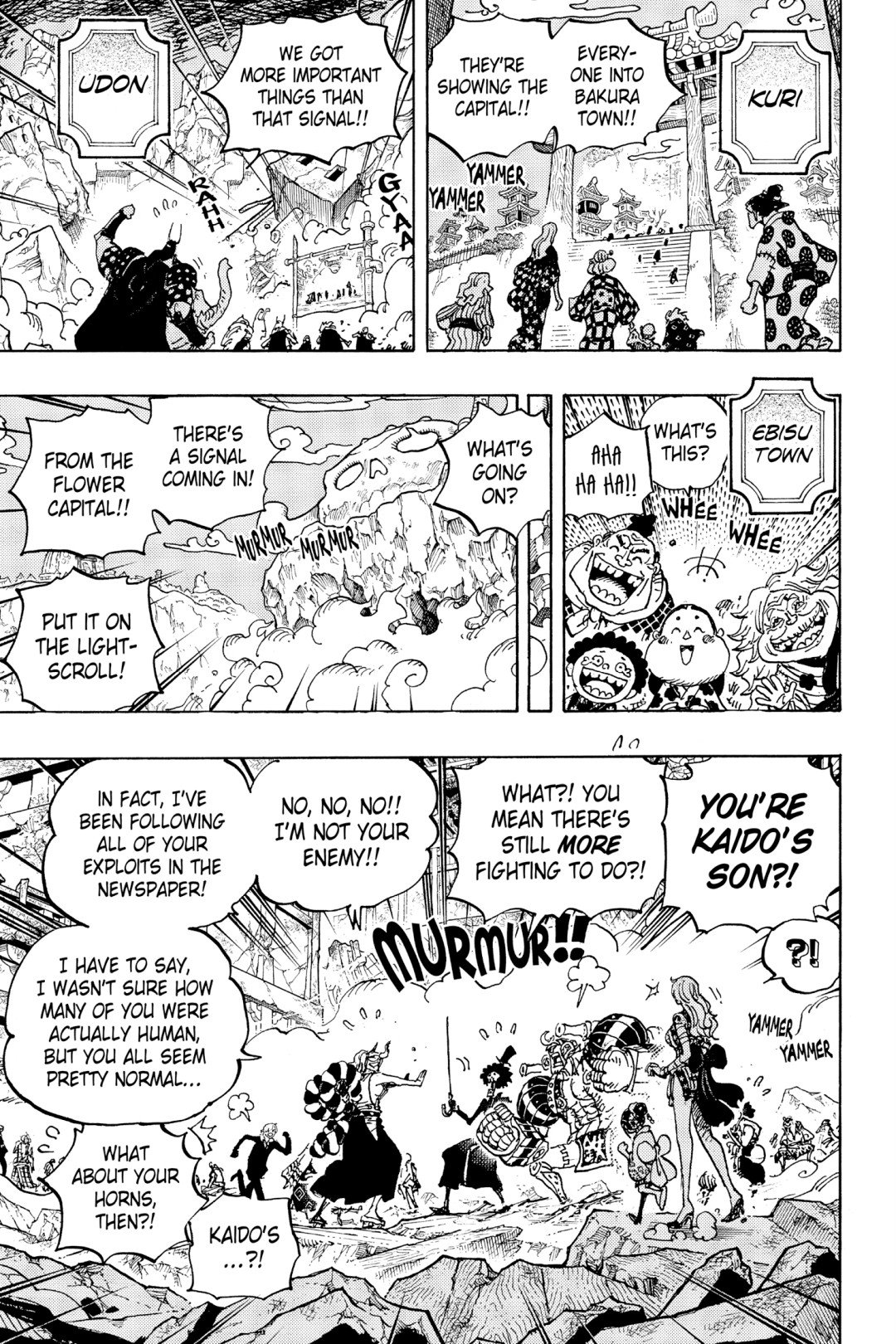 One Piece, Chapter 1051 image 05